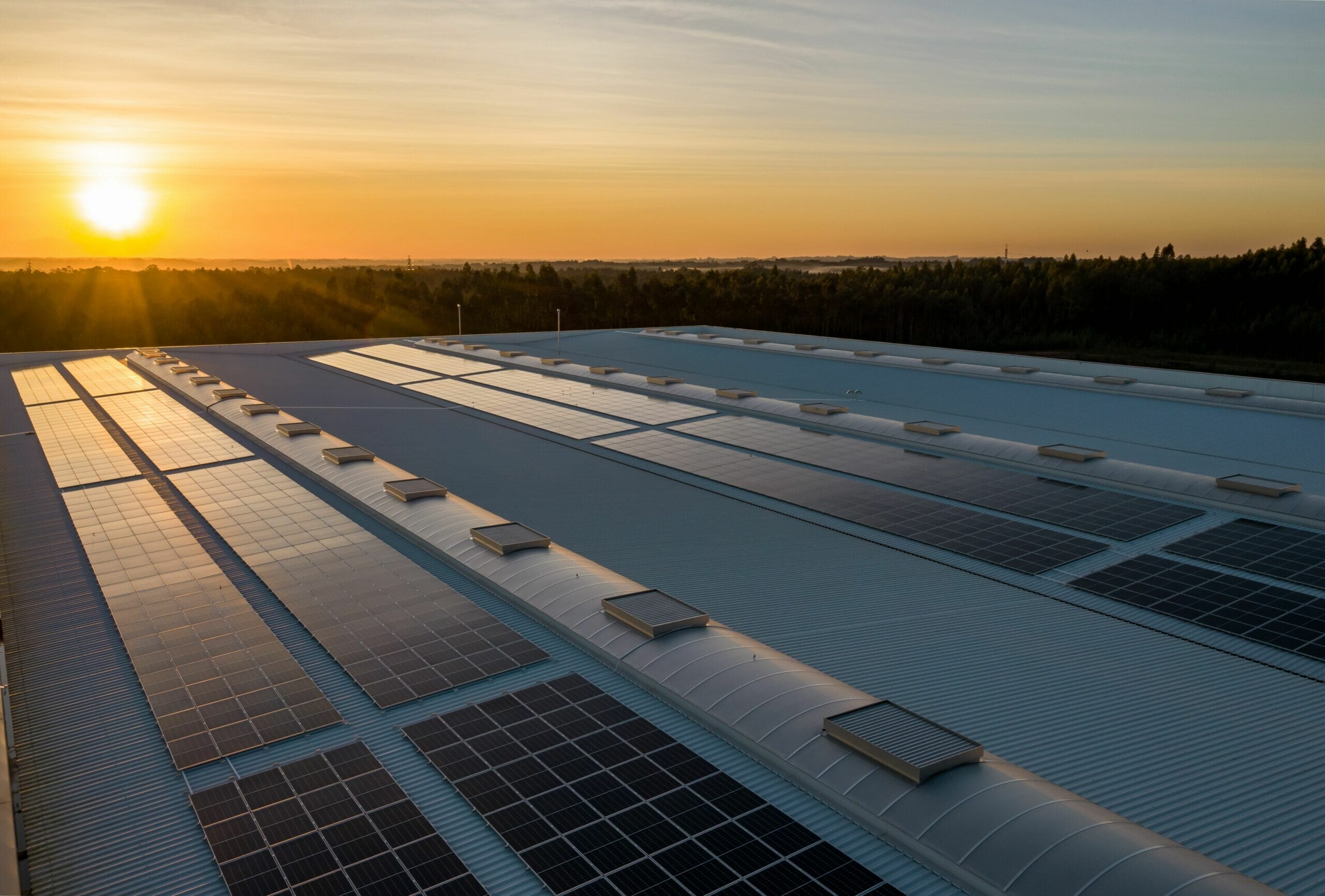 View of a sunrise with commercial solar panels on a rooftop in the foreground and trees in the background
