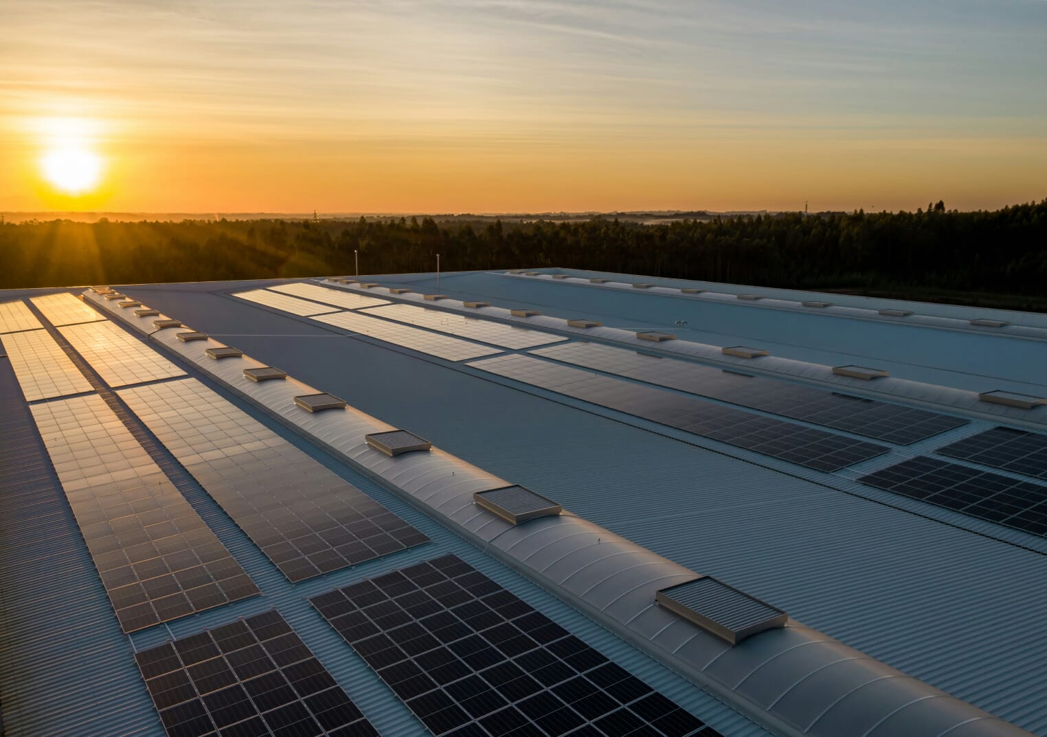 View of a sunrise with commercial solar panels on a rooftop in the foreground and trees in the background