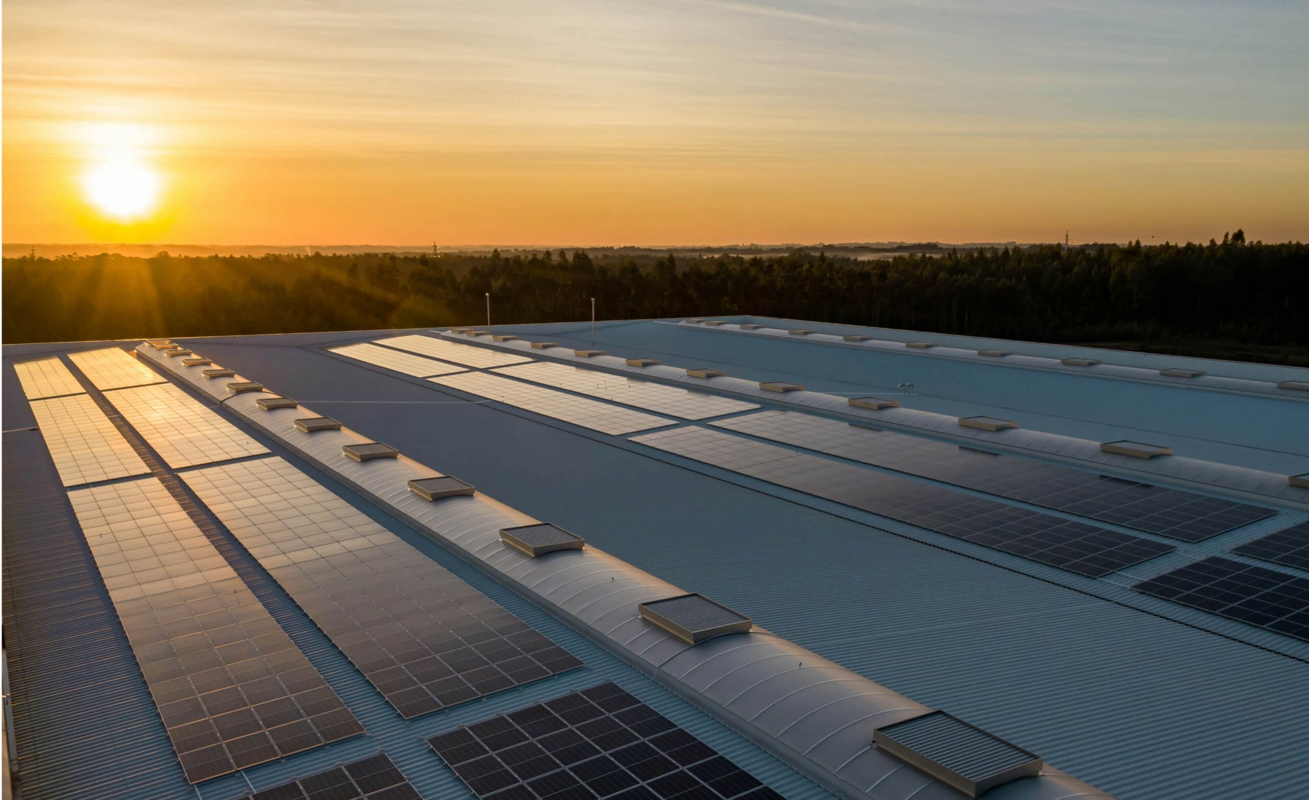 View of a sunrise with commercial solar panels on a rooftop in the foreground and trees in the background