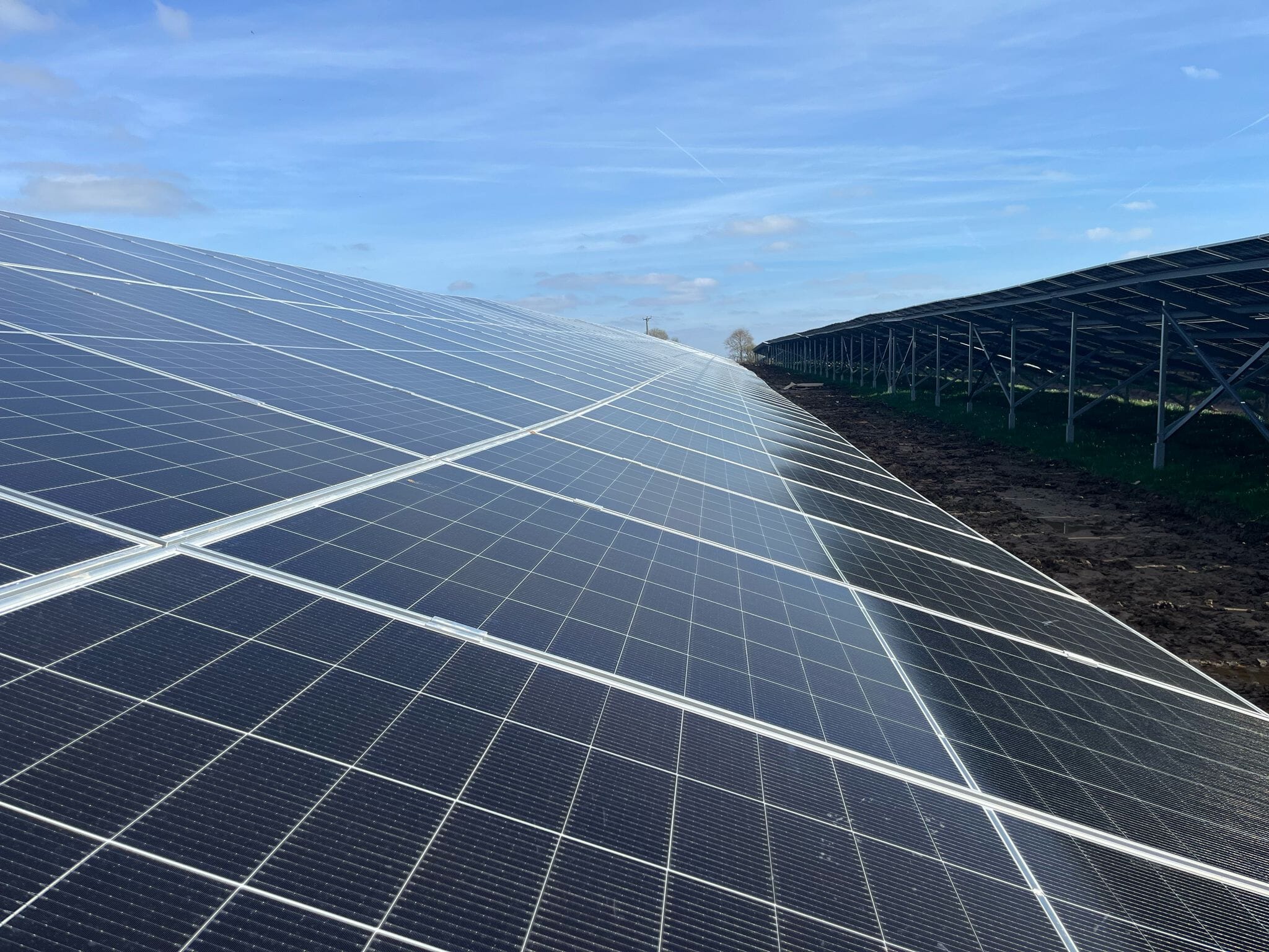 PHOTO-2025-03-26-14-32-46-006