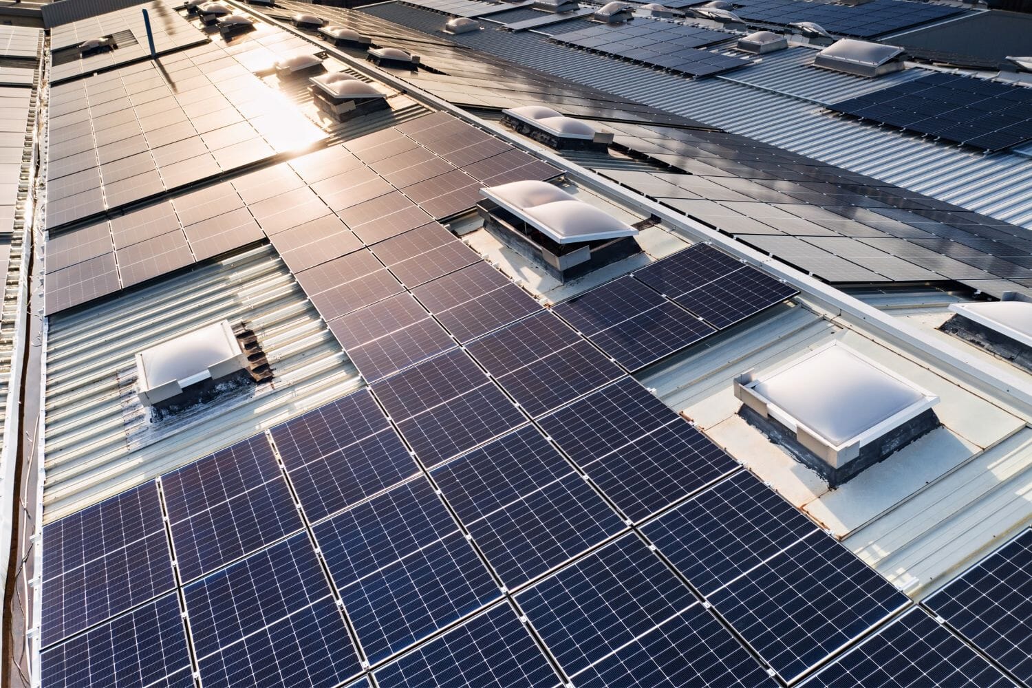 221017-01_026-2-RESIZED