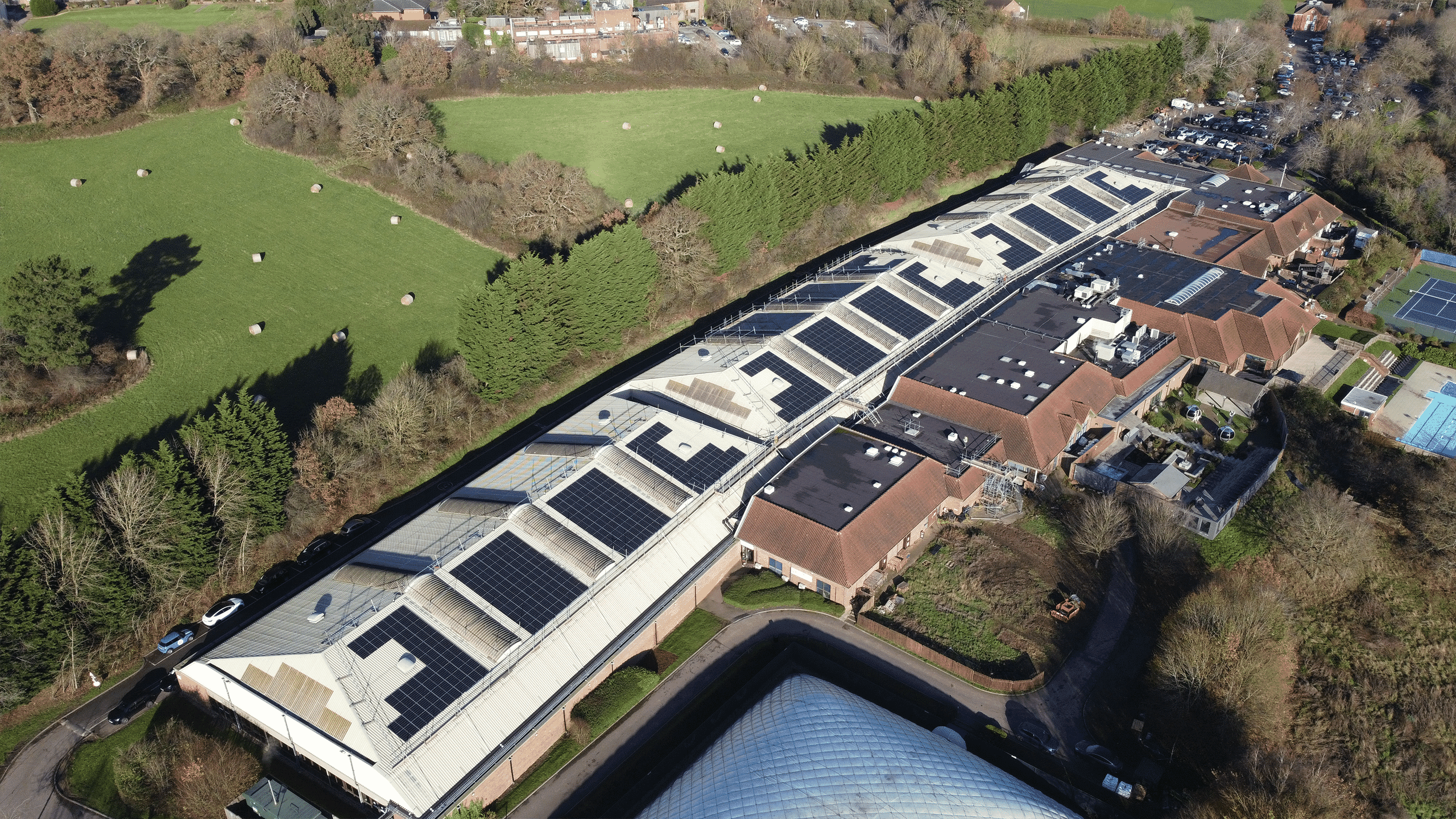 DavidLloyd03