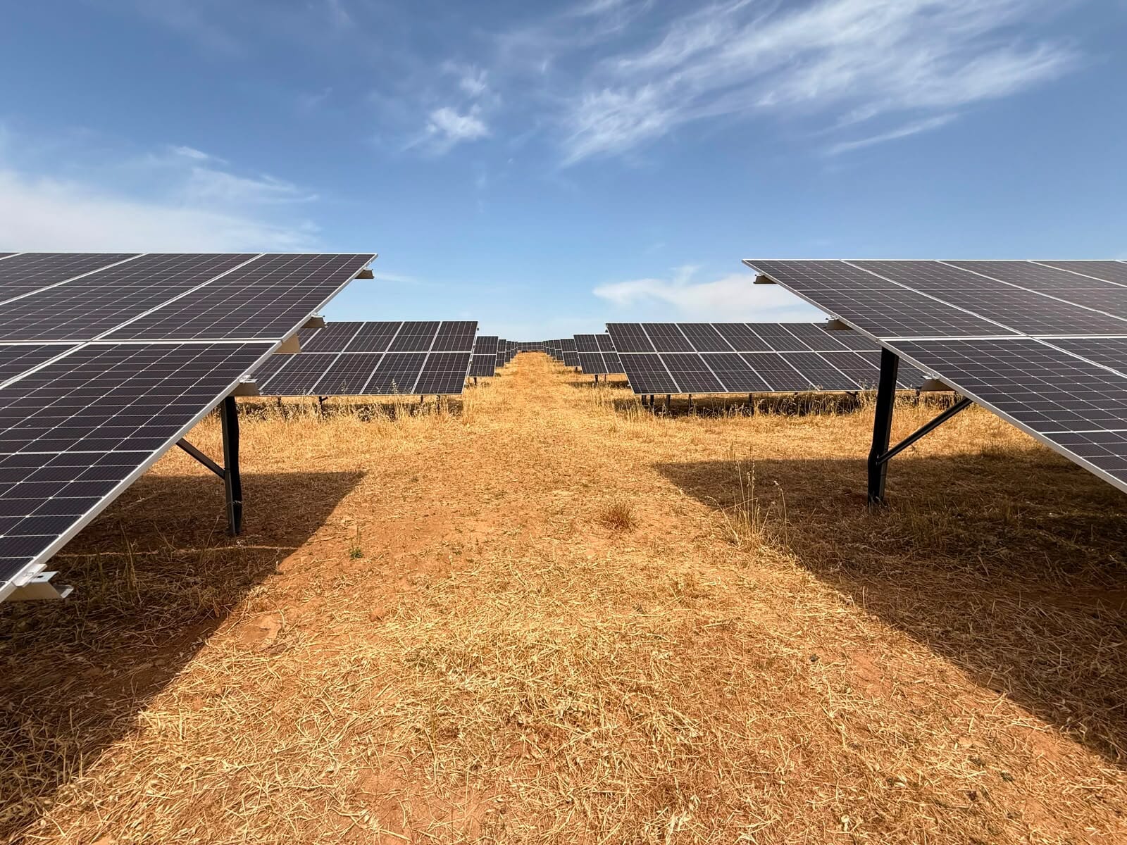 Spanish ground mount solar array funded by AMPYR Distributed Energy