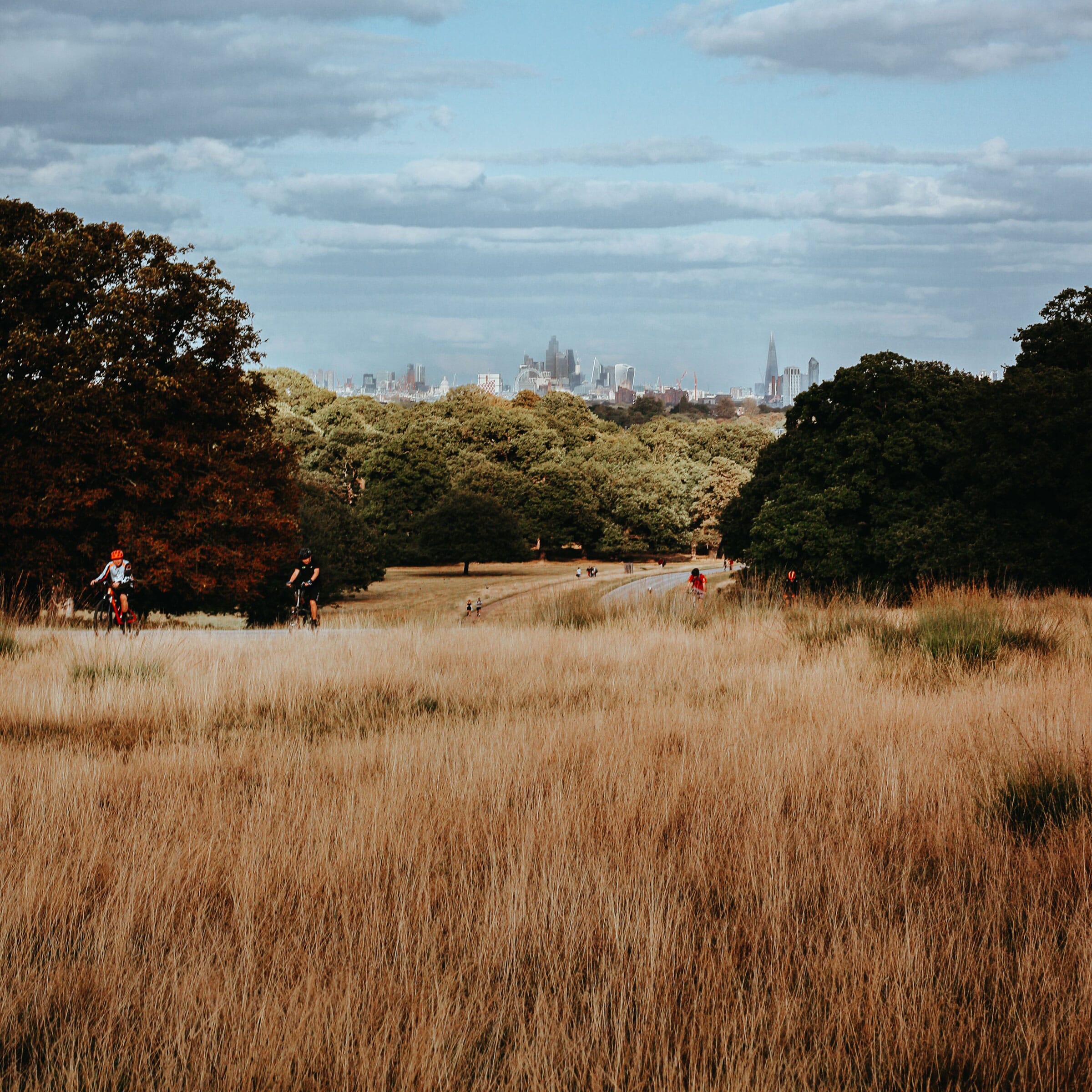Brown grass in the foreground, with trees and city behind
